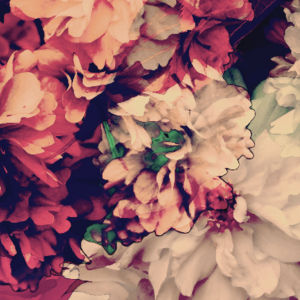 FERLY ORGANZA JACKET, , swatch