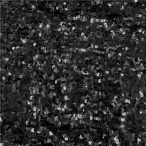 GABIE SEQUIN PANT, , swatch