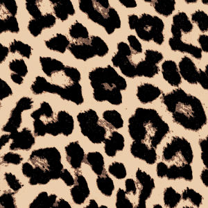 3/4 SLEEVE MESH TIERED DRESS, , swatch