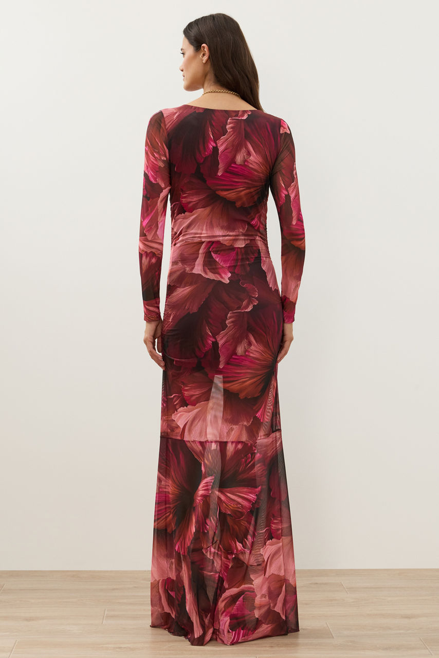 DIOVANNA RUCHED MAXI DRESS, , large image 4