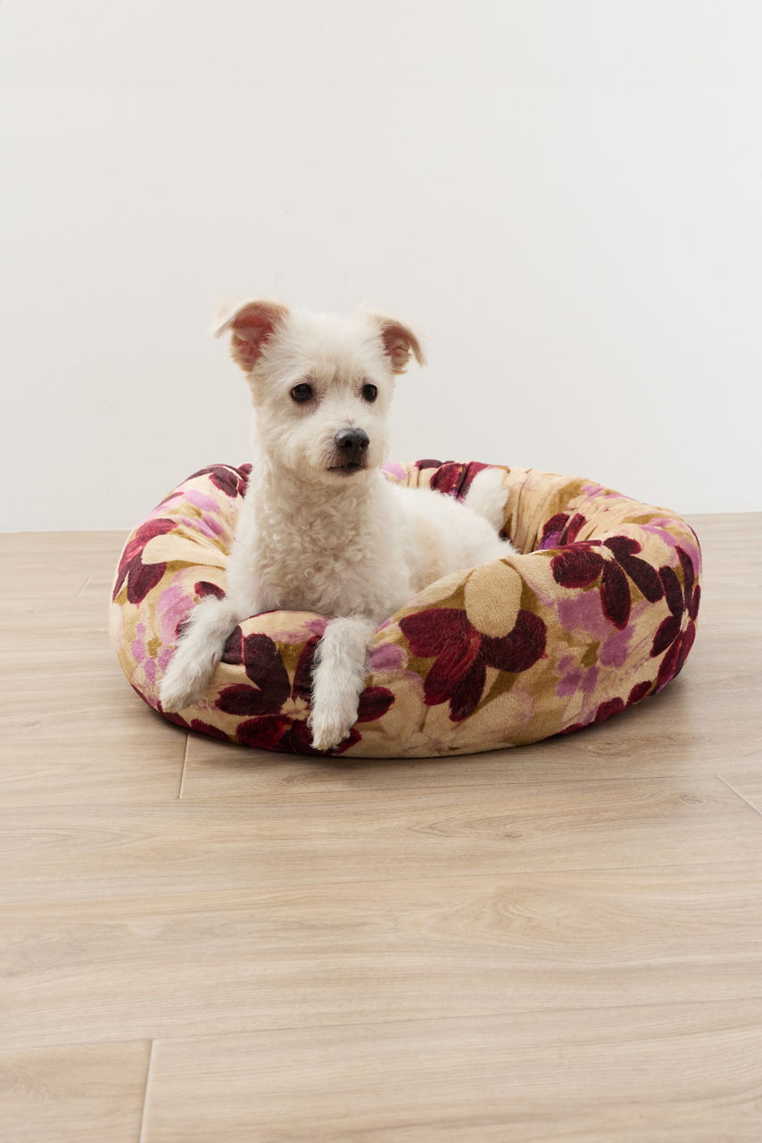 GEOVANA LARGE DOG BED, , large image 2
