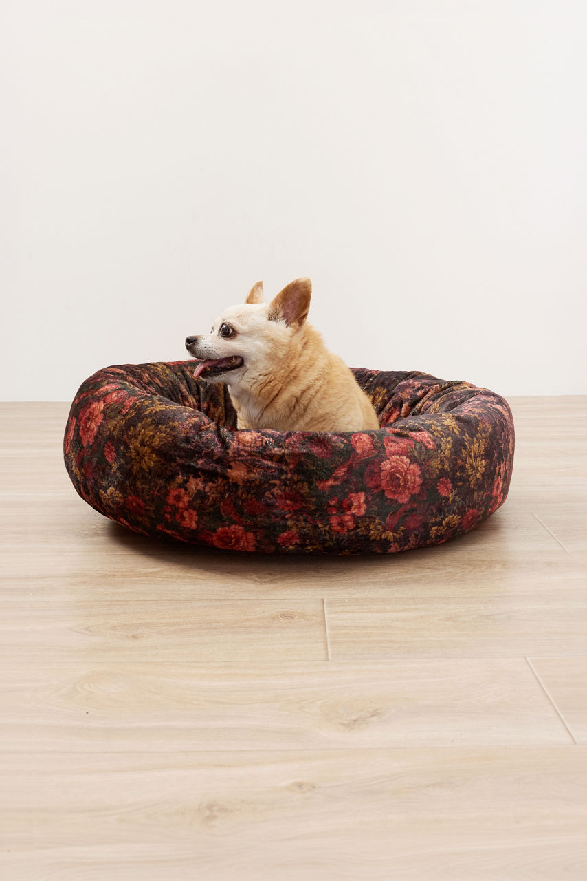 GURA SMALL DOG BED, , large image 1
