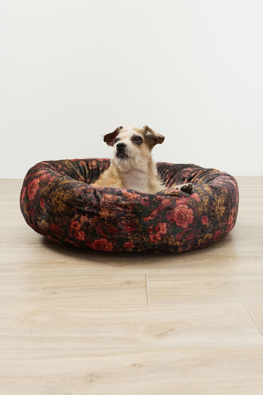 GURA SMALL DOG BED, , large image 2
