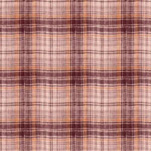 WESTERN PLAID SHIRT, , swatch