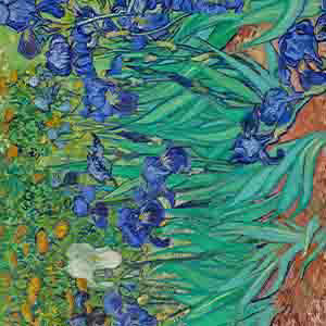 VAN GOGH IRISIS TRAVEL BLANKET, , swatch