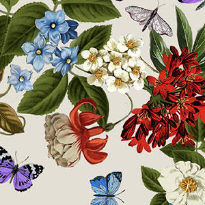 THE JANIE FAVORITE SHORT SLEEVE HENLEY TEE, , swatch