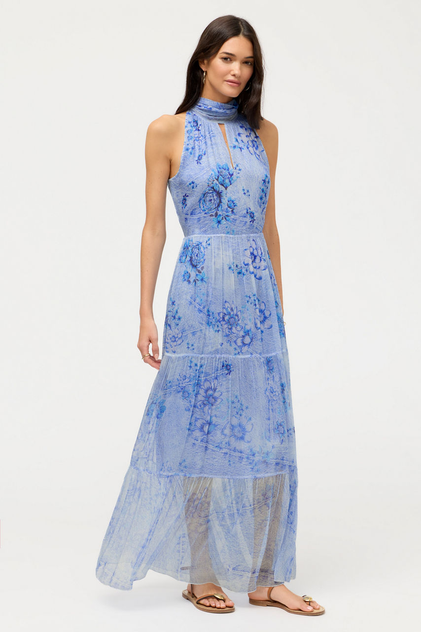 RIONA HALTER MAXI DRESS, , large image 1