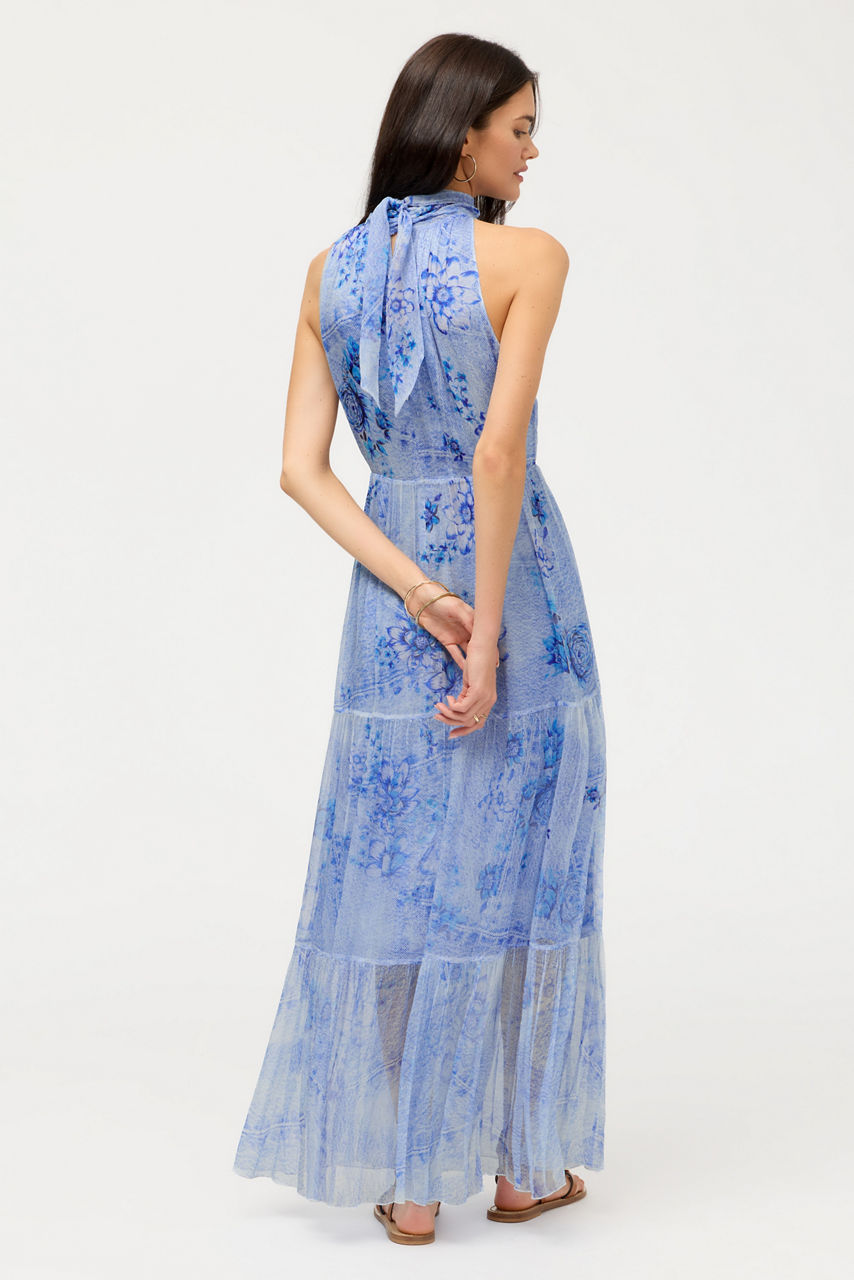 RIONA HALTER MAXI DRESS, , large image 3