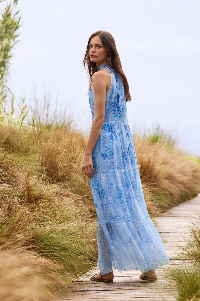 RIONA HALTER MAXI DRESS, , large image 4