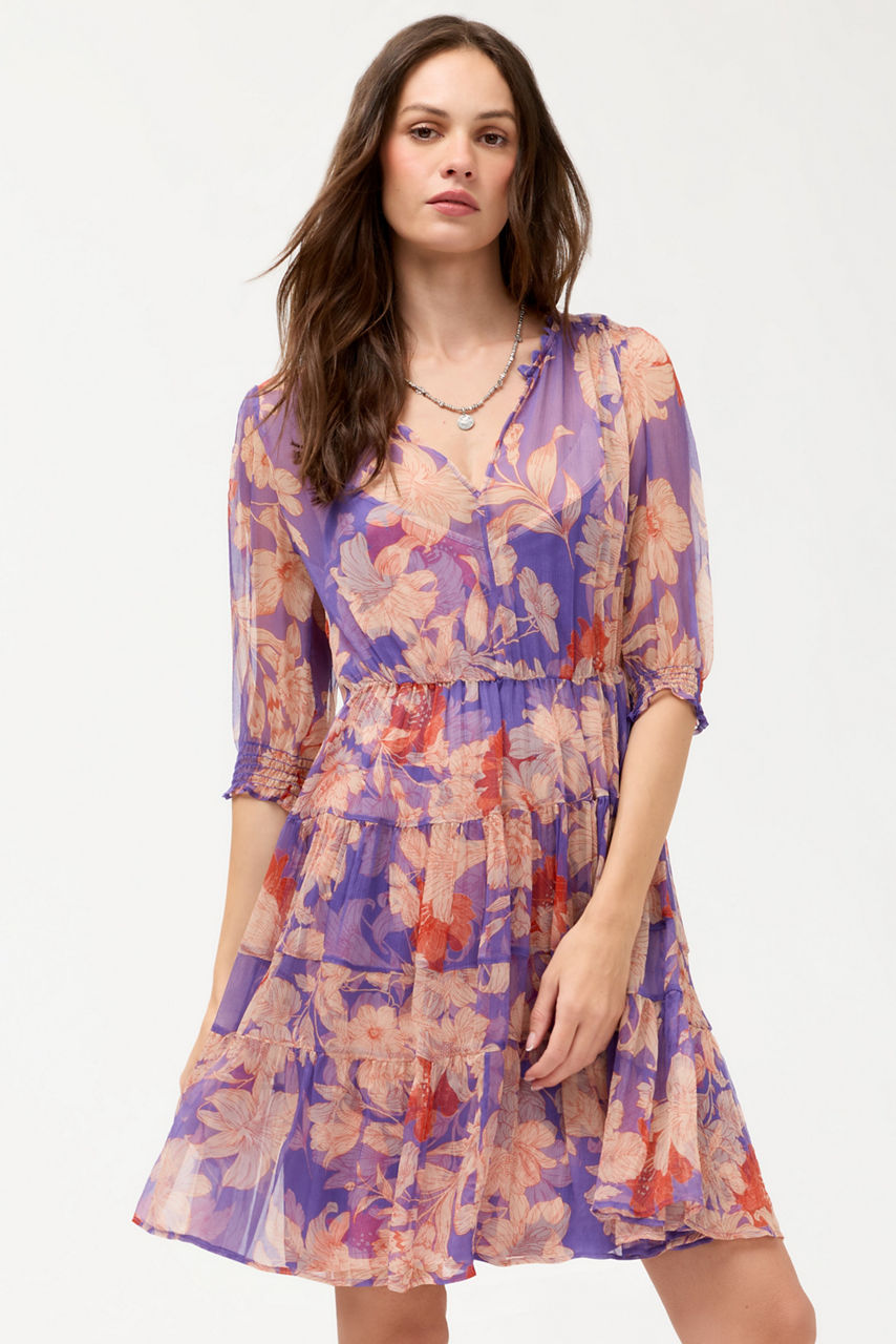 DAPHNE MINI DRESS, , large image 1