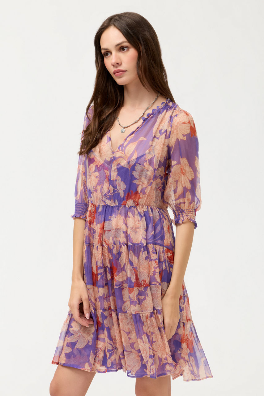 DAPHNE MINI DRESS, , large image 2