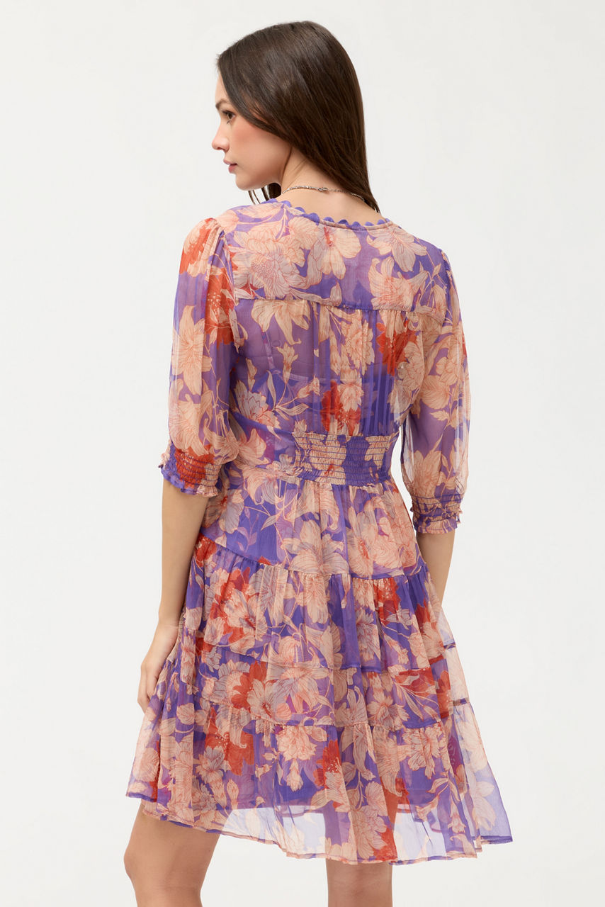 DAPHNE MINI DRESS, , large image 3