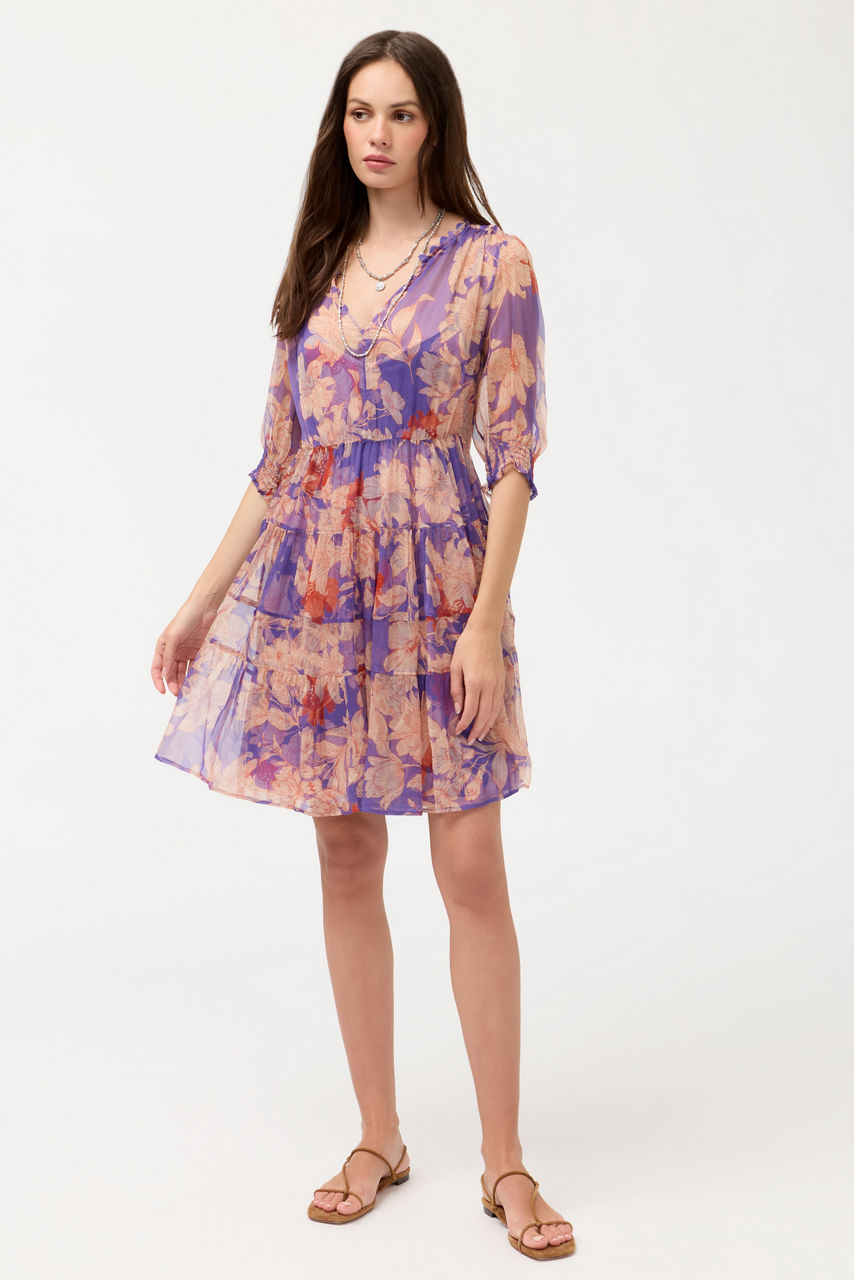 DAPHNE MINI DRESS, , large image 4