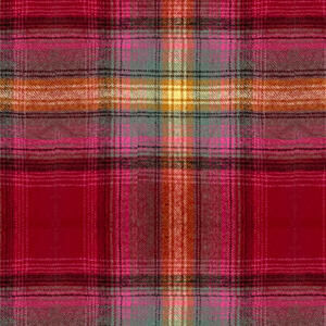 SUNNIE OVERSIZED SHIRT, , swatch