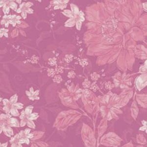 PINK PRINTED VELVET BEAR, , swatch