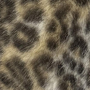 FAUX FUR NECK SHAWL, , swatch