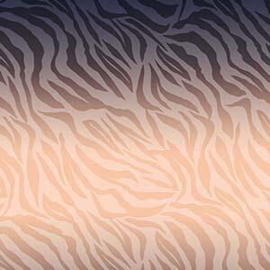 ROSIE QUARTZ BURNOUT VELVET SHAWL, , swatch