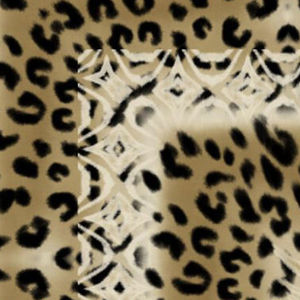 SISWATI HAIRCLIP, , swatch